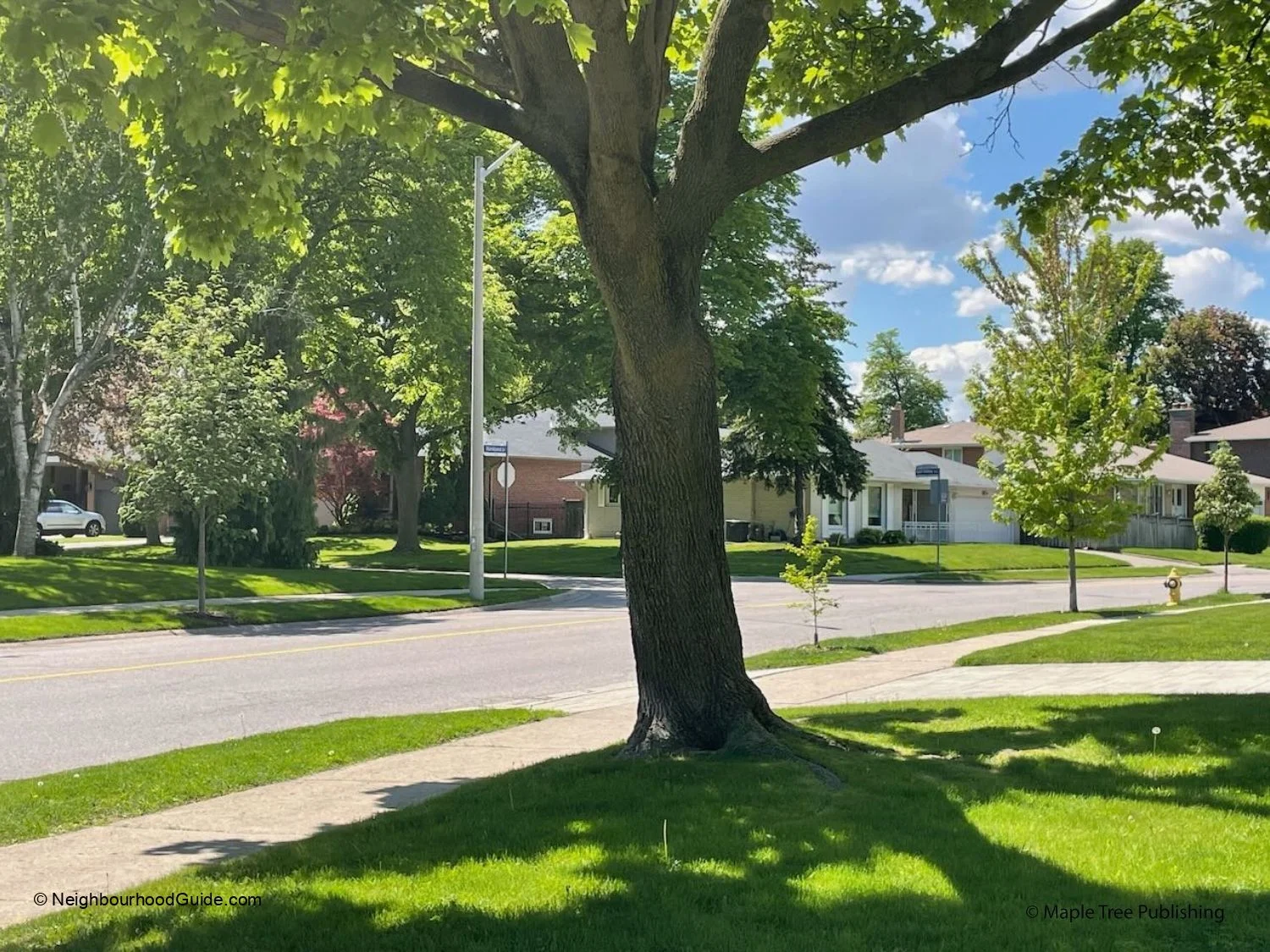 Markland Wood neighbourhood